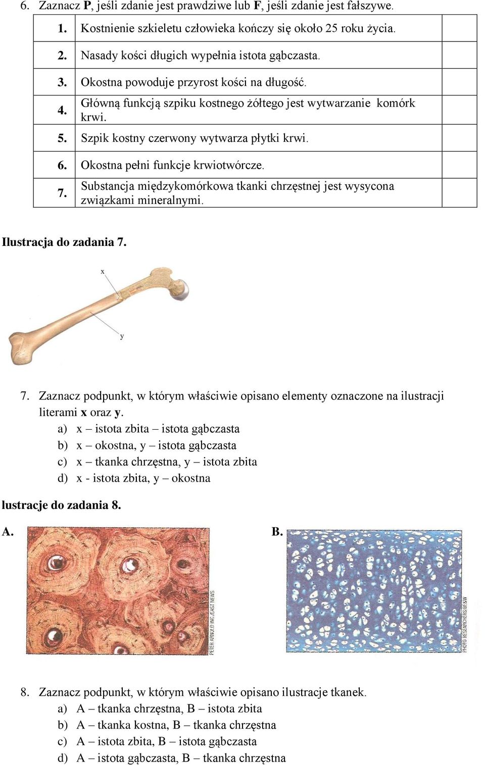 Okostna pełni funkcje krwiotwórcze. 7. Substancja międzykomórkowa tkanki chrzęstnej jest wysycona związkami mineralnymi. Ilustracja do zadania 7. 7. Zaznacz podpunkt, w którym właściwie opisano elementy oznaczone na ilustracji literami x oraz y.