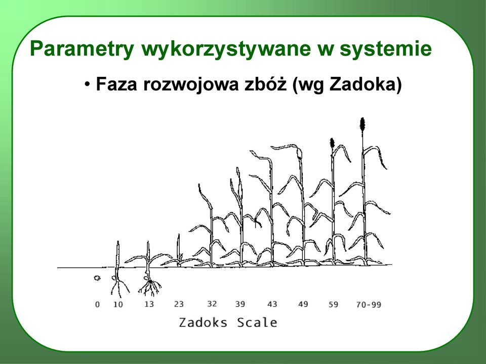 systemie Faza