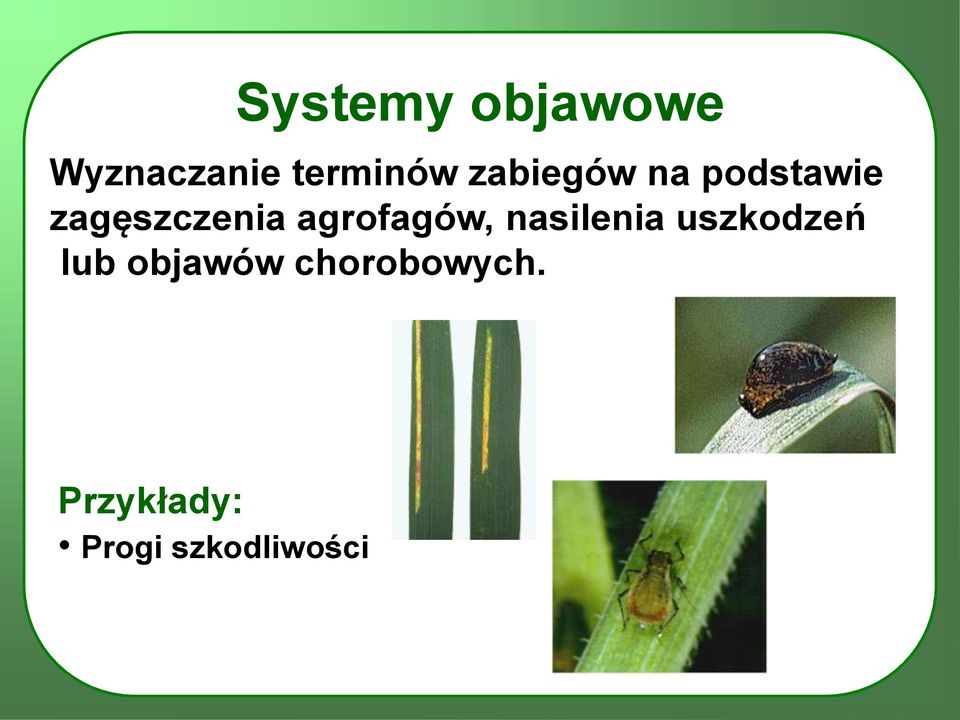 agrofagów, nasilenia uszkodzeń lub
