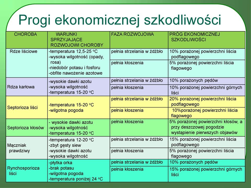 Septorioza liści Septorioza kłosów Mączniak prawdziwy Rynchosporioza liści -wysokie dawki azotu -wysoka wilgotność -temperatura 15-20 o C -temperatura 15-20 o C -wilgotna pogoda - wysokie dawki azotu