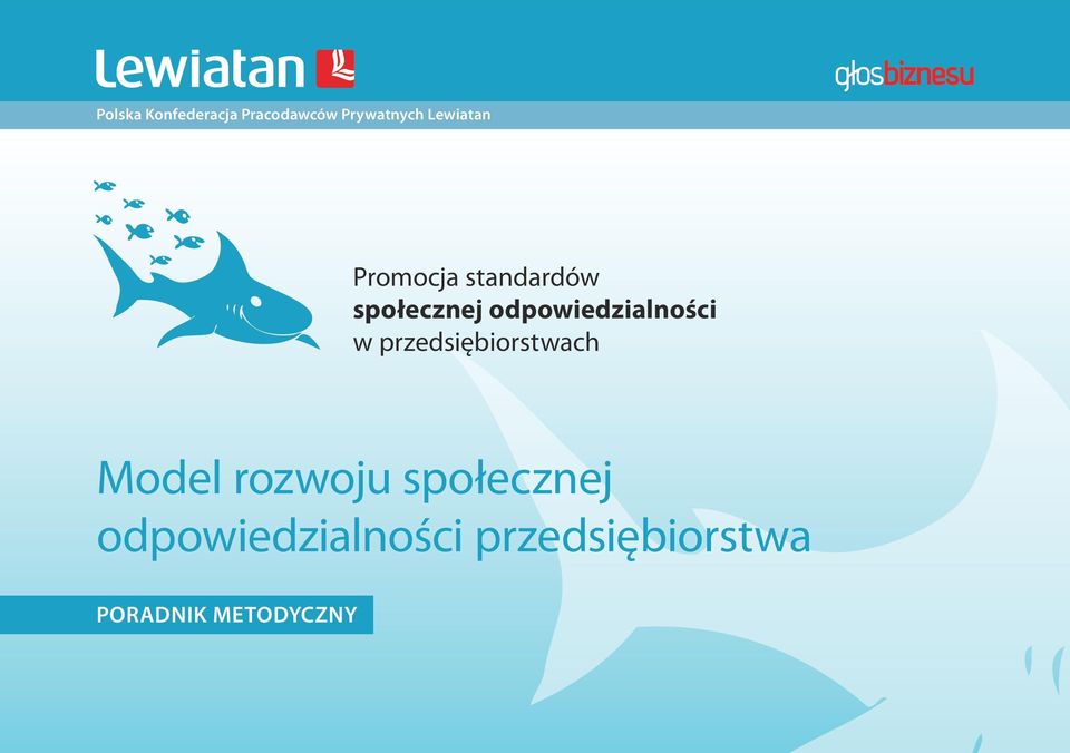 odpowiedzialności w przedsiębiorstwach Model