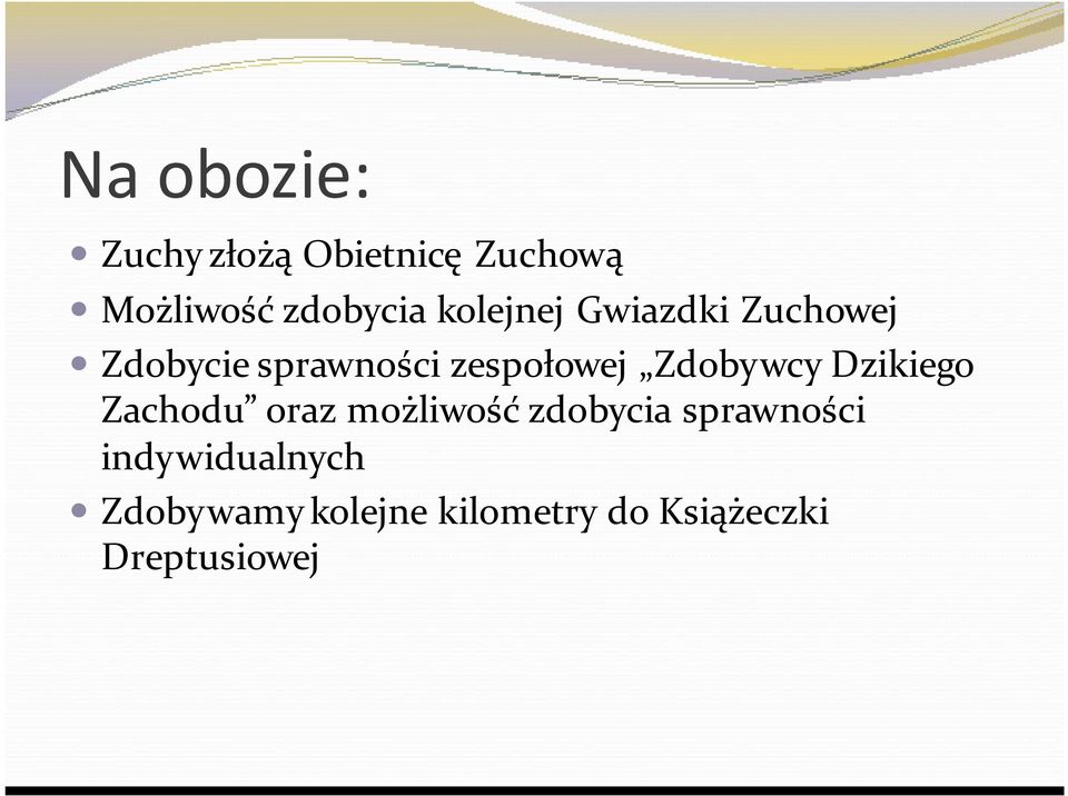 Zdobywcy Dzikiego Zachodu oraz możliwość zdobycia sprawności