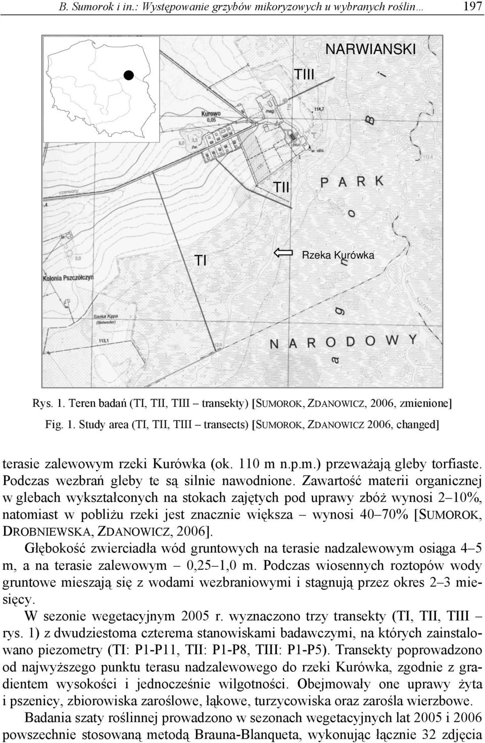 Zawartość materii organicznej w glebach wykształconych na stokach zajętych pod uprawy zbóż wynosi 2 10%, natomiast w pobliżu rzeki jest znacznie większa wynosi 40 70% [SUMOROK, DROBNIEWSKA,