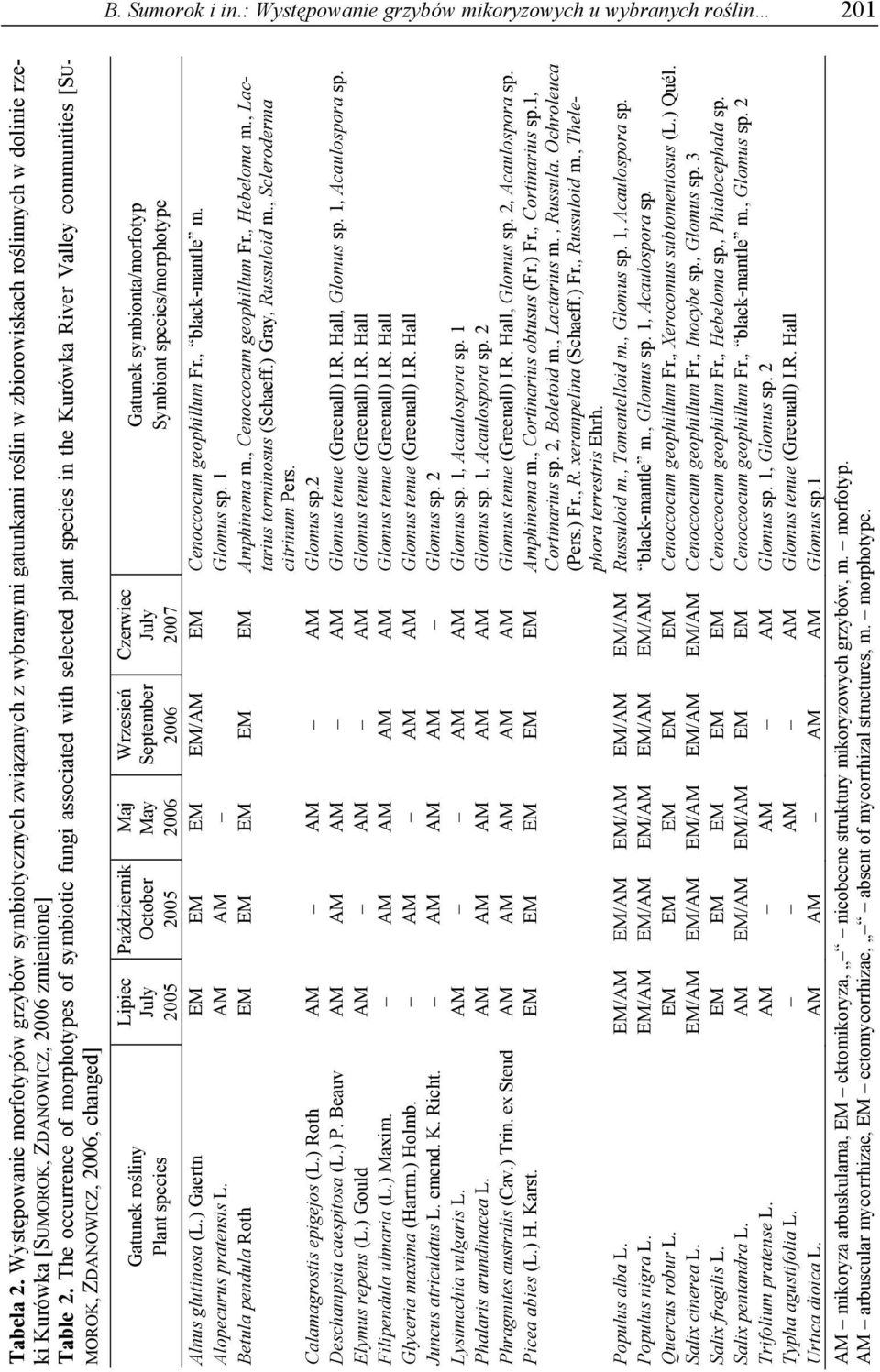The occurrence of morphotypes of symbiotic fungi associated with selected plant species in the Kurówka River Valley communities [SU- MOROK, ZDANOWICZ, 2006, changed] Gatunek rośliny Plant species