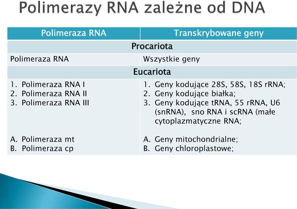 Geny kodujące 28S, 58S, 18S rrna; 2. Geny kodujące białka; 3.