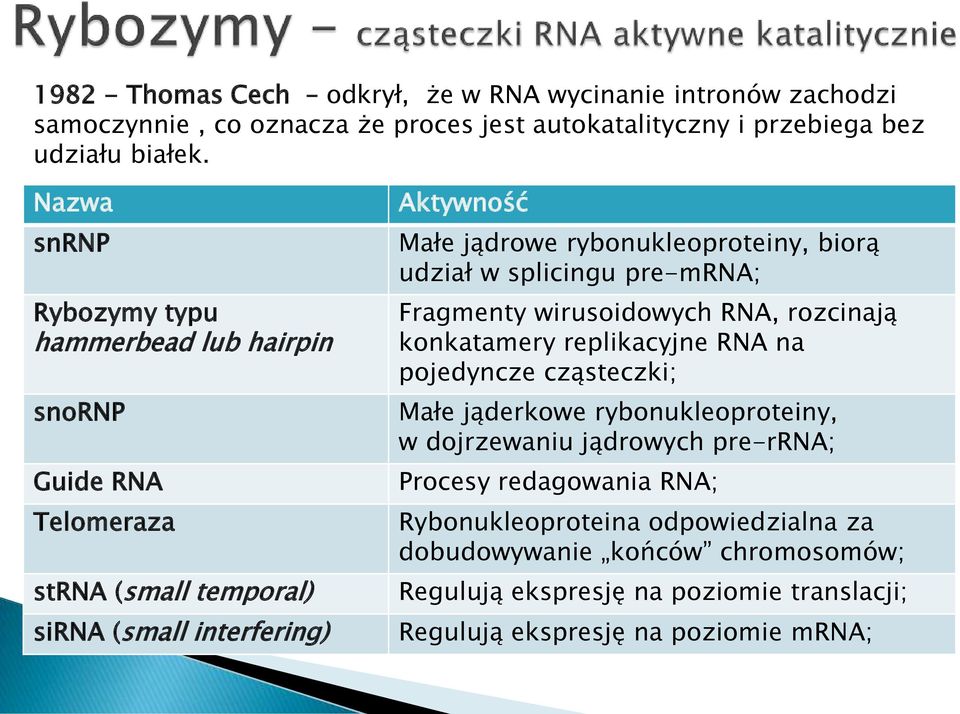 biorą udział w splicingu pre-mrna; Fragmenty wirusoidowych RNA, rozcinają konkatamery replikacyjne RNA na pojedyncze cząsteczki; Małe jąderkowe rybonukleoproteiny, w