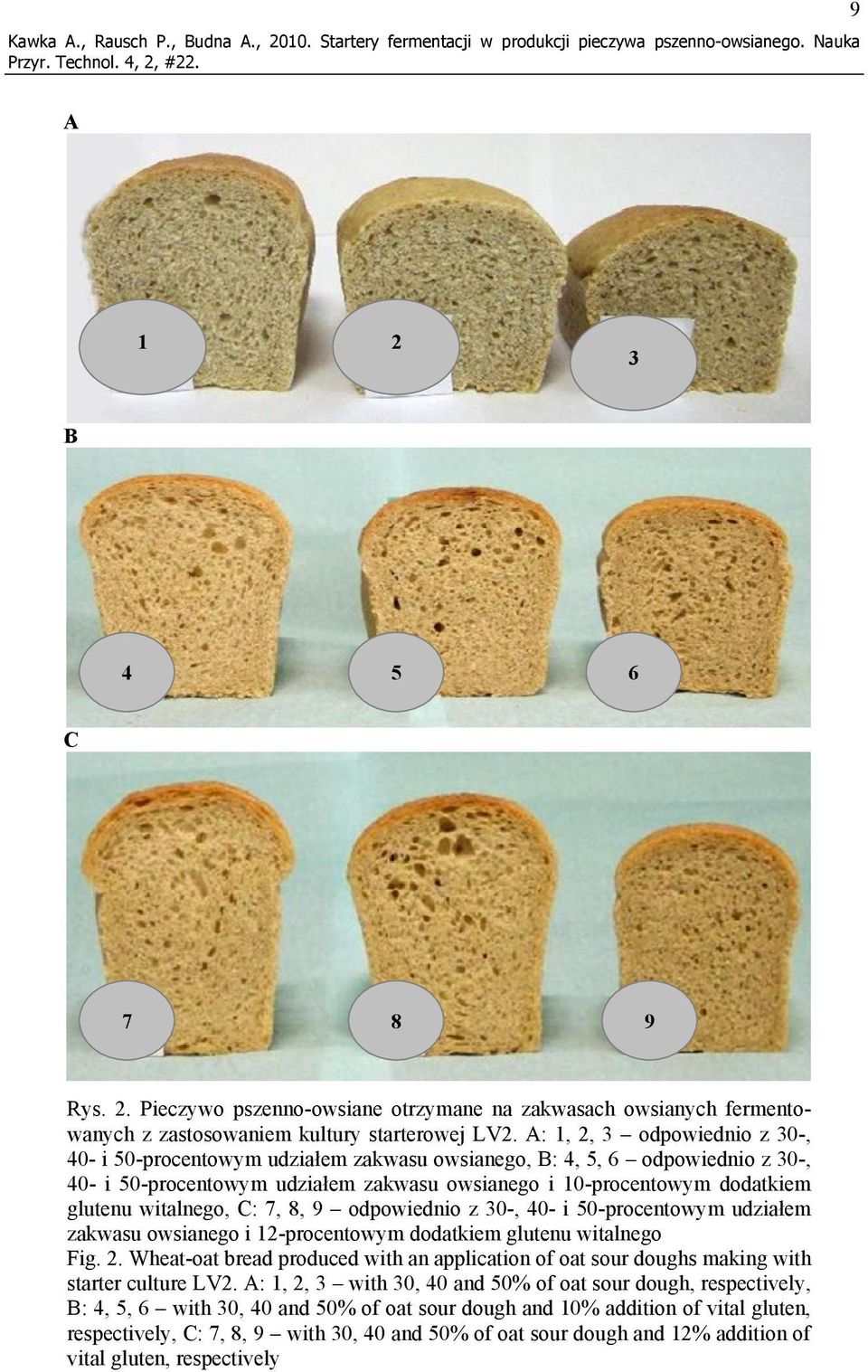 witalnego, C: 7, 8, 9 odpowiednio z 30-, 40- i 50-procentowym udziałem zakwasu owsianego i 12-procentowym dodatkiem glutenu witalnego Fig. 2.