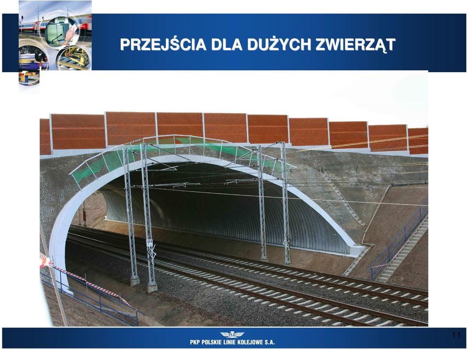 DUśYCH