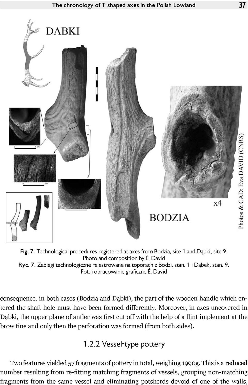 Moreover, in axes uncovered in Dąbki, the upper plane of antler was first cut off with the help of a flint implement at the brow tine and only then the perforation was formed (from both sides). 1.2.