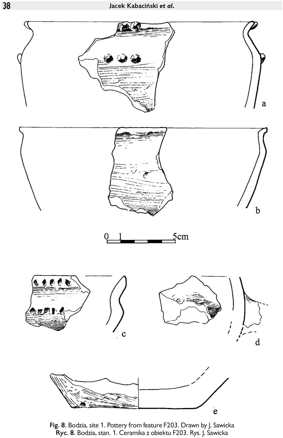 Pottery from feature F203. Drawn by J.