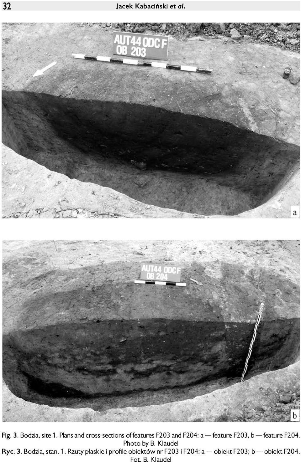 b feature F204. Photo by B. Klaudel Ryc. 3. Bodzia, stan. 1.