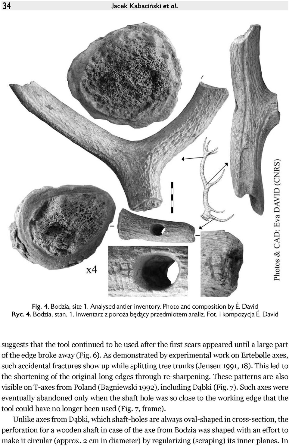 As demonstrated by experimental work on Ertebølle axes, such accidental fractures show up while splitting tree trunks (Jensen 1991, 18).