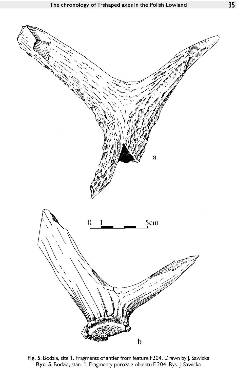 Fragments of antler from feature F204. Drawn by J.