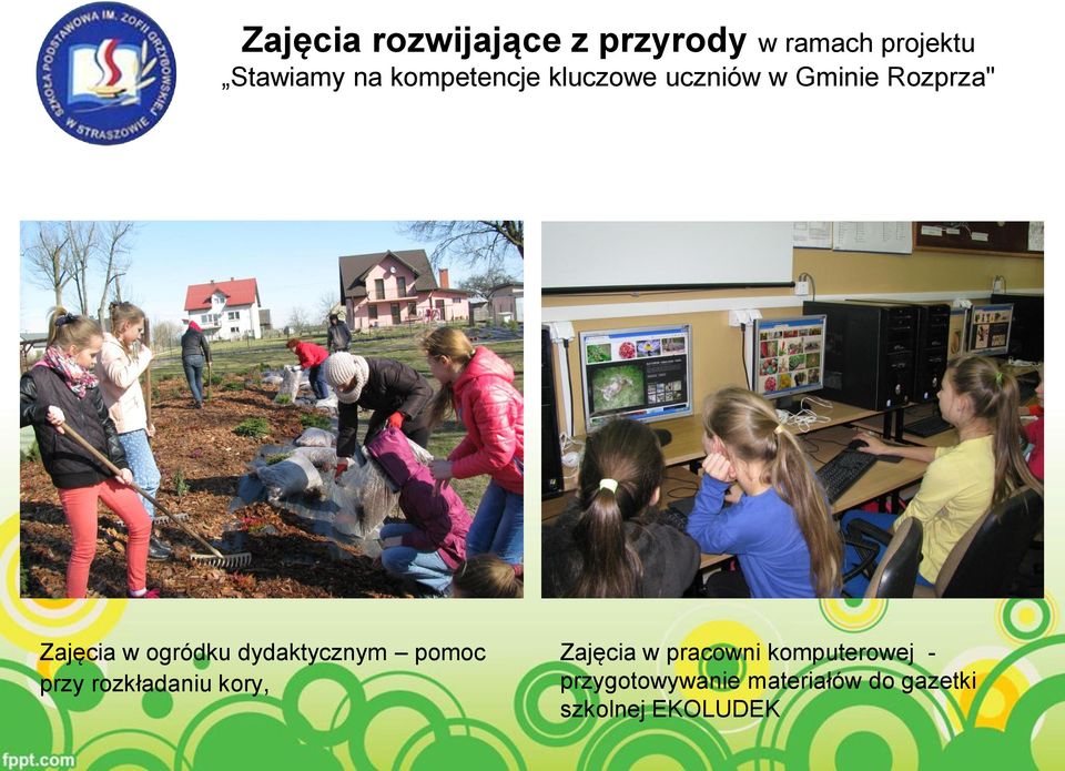 dydaktycznym pomoc przy rozkładaniu kory, Zajęcia w pracowni