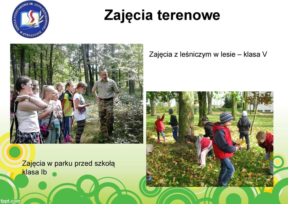 lesie klasa V Zajęcia