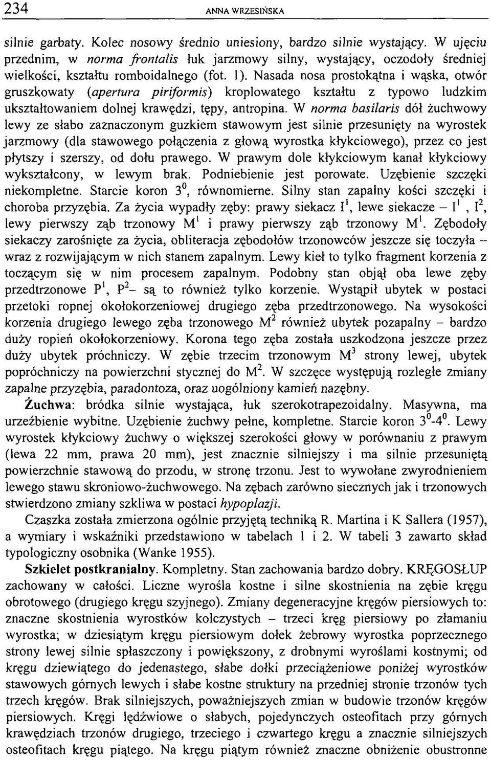 Nasada nosa prostokątna i wąska, otwór gruszkowaty (apertura piriformis) kroplowatego kształtu z typowo ludzkim ukształtowaniem dolnej krawędzi, tępy, antropina.