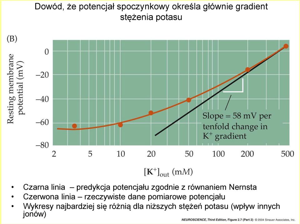 Nernsta Czerwona linia rzeczywiste dane pomiarowe potencjału