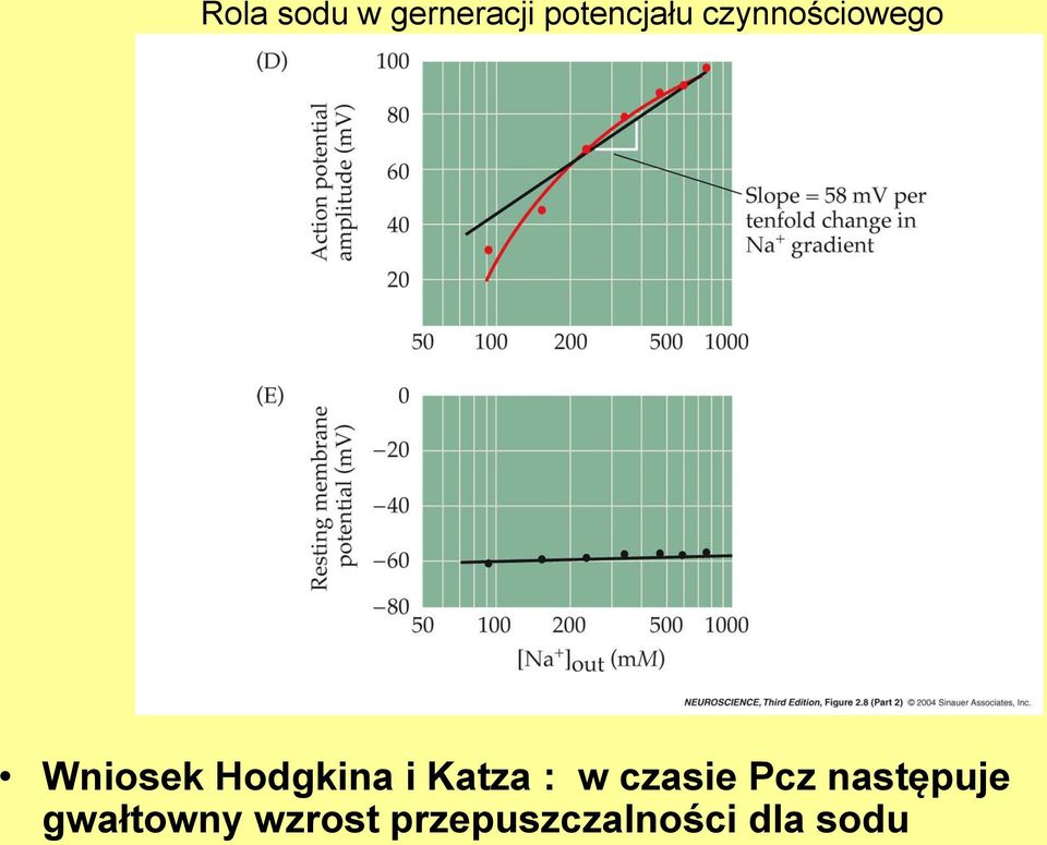 Katza : w czasie Pcz następuje