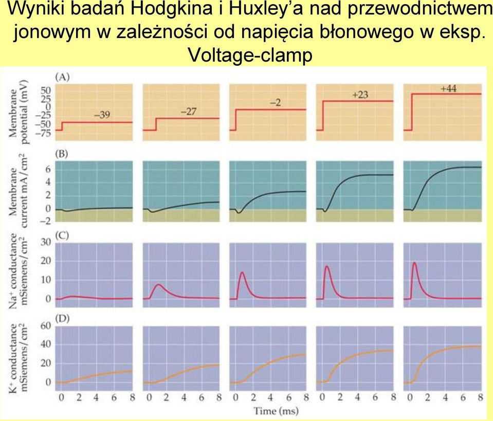 jonowym w zależności od