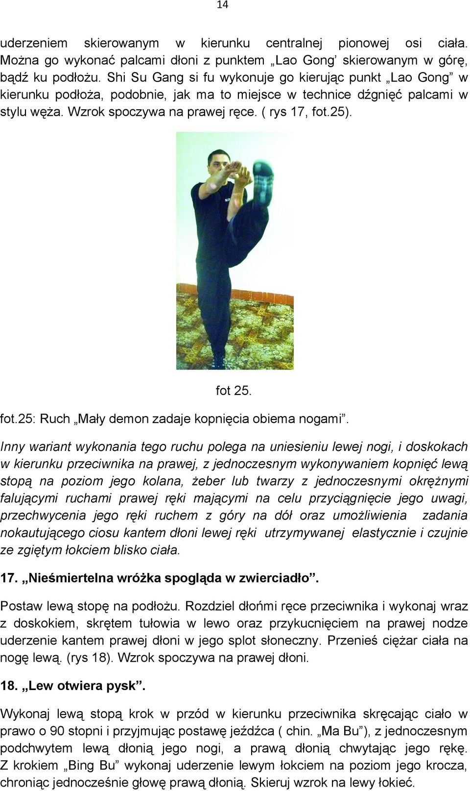 fot.25: Ruch Mały demon zadaje kopnięcia obiema nogami.