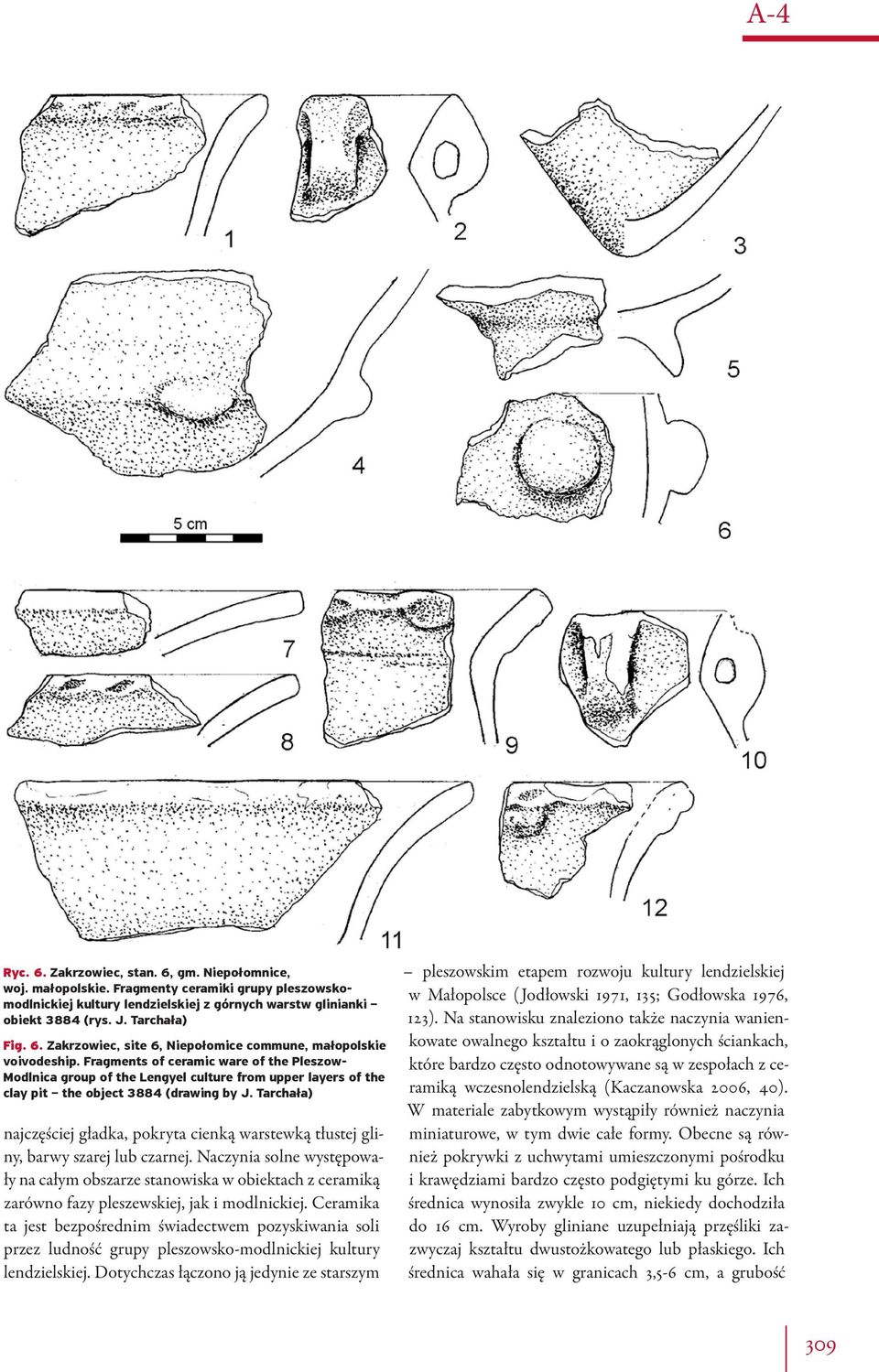 Fragments of ceramic ware of the Pleszow- Modlnica group of the Lengyel culture from upper layers of the clay pit the object 3884 (drawing by J.