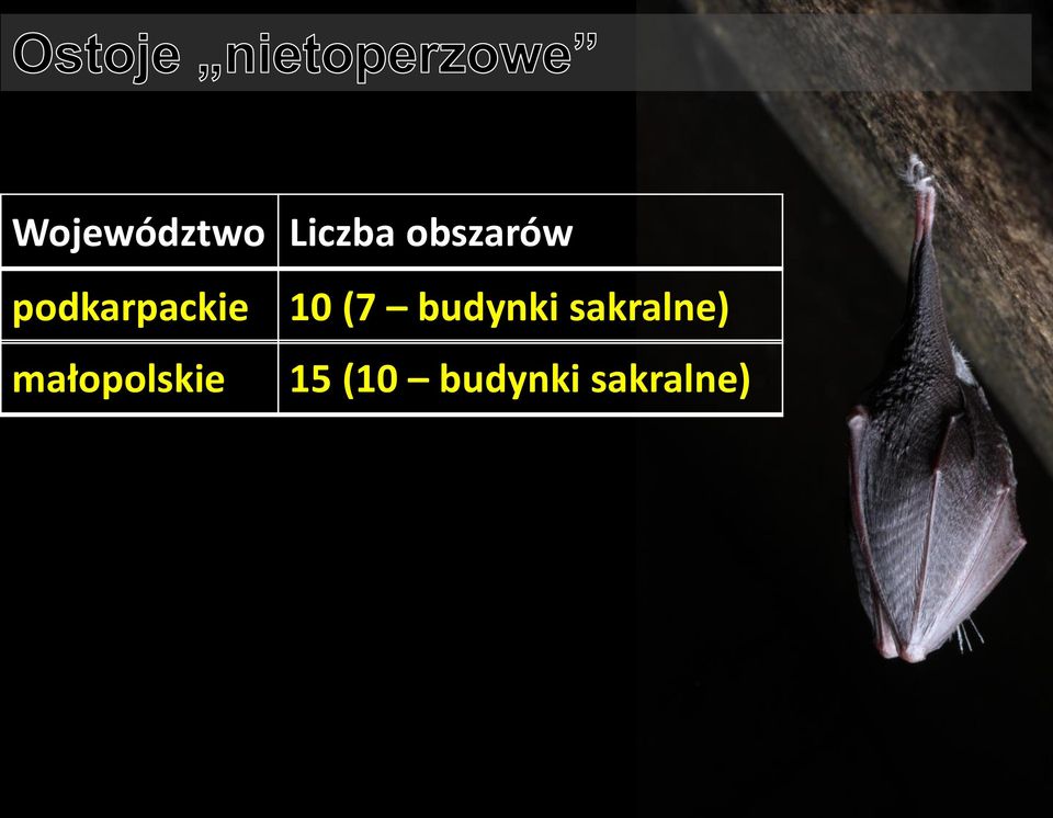 (7 budynki sakralne)