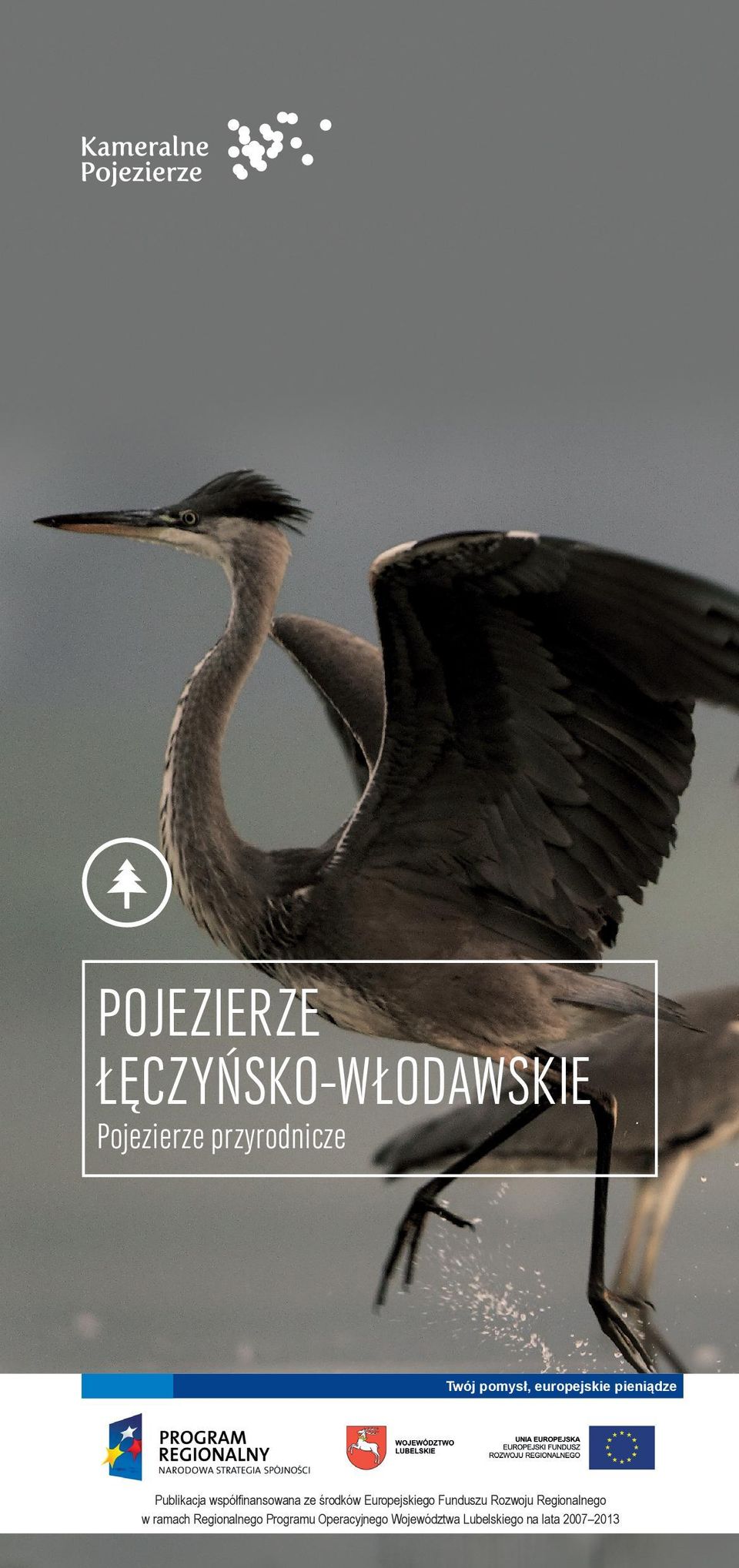 środków Europejskiego Funduszu Rozwoju Regionalnego w ramach