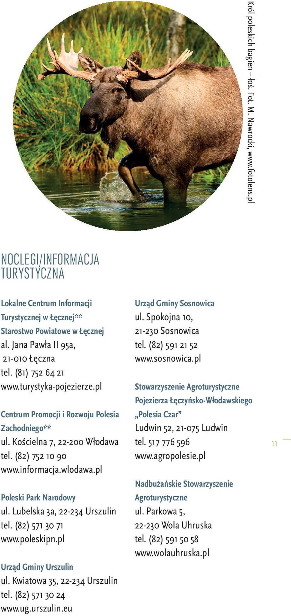 wlodawa.pl Poleski Park Narodowy ul. Lubelska 3a, 22-234 Urszulin tel. (82) 571 30 71 www.poleskipn.pl Urząd Gminy Urszulin ul. Kwiatowa 35, 22-234 Urszulin tel. (82) 571 30 24 www.ug.urszulin.