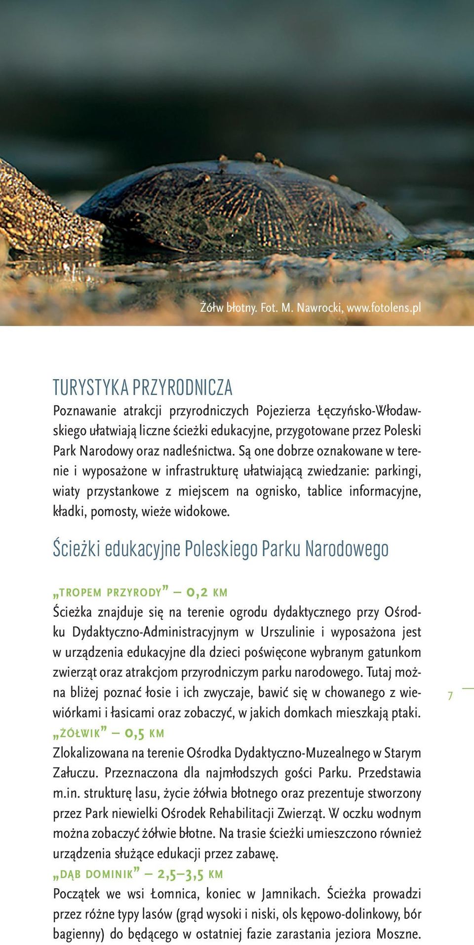 Są one dobrze oznakowane w terenie i wyposażone w infrastrukturę ułatwiającą zwiedzanie: parkingi, wiaty przystankowe z miejscem na ognisko, tablice informacyjne, kładki, pomosty, wieże widokowe.