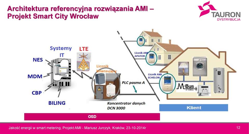 energii w smart metering, Projekt AMI