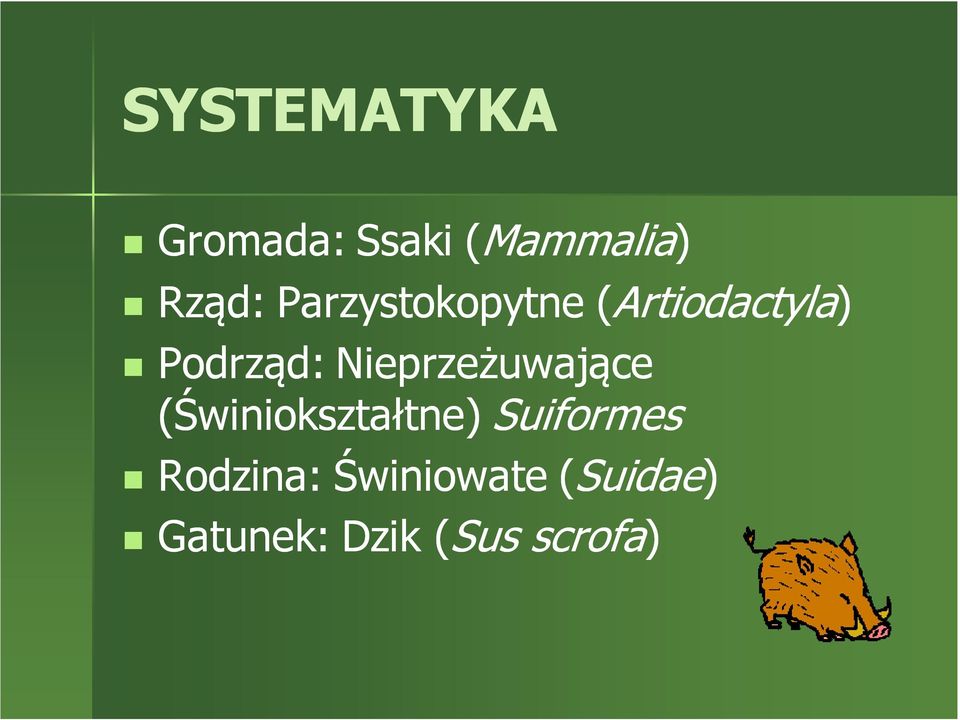 Nieprzeżuwające (Świniokształtne) Suiformes