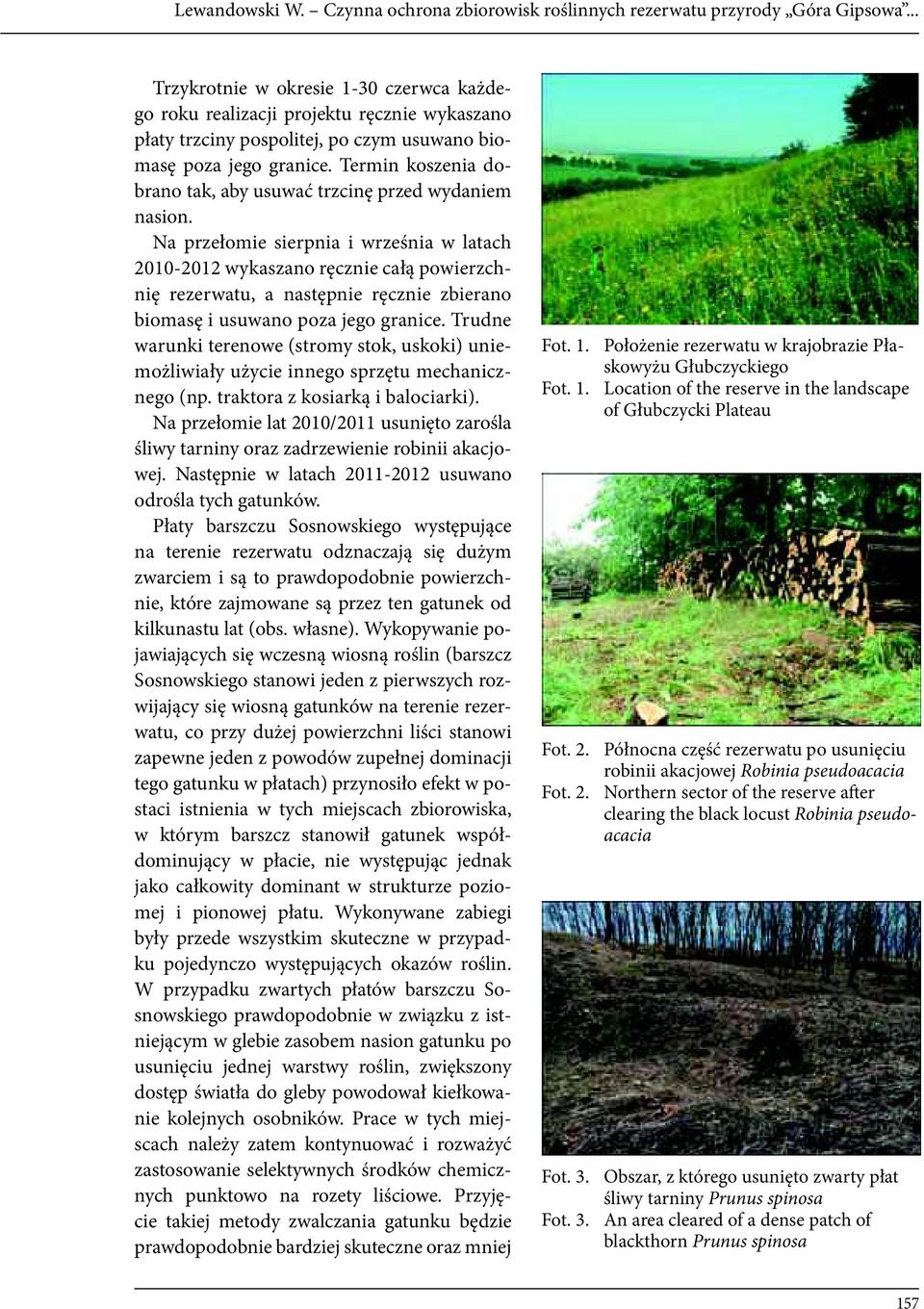 Termin koszenia dobrano tak, aby usuwać trzcinę przed wydaniem nasion.