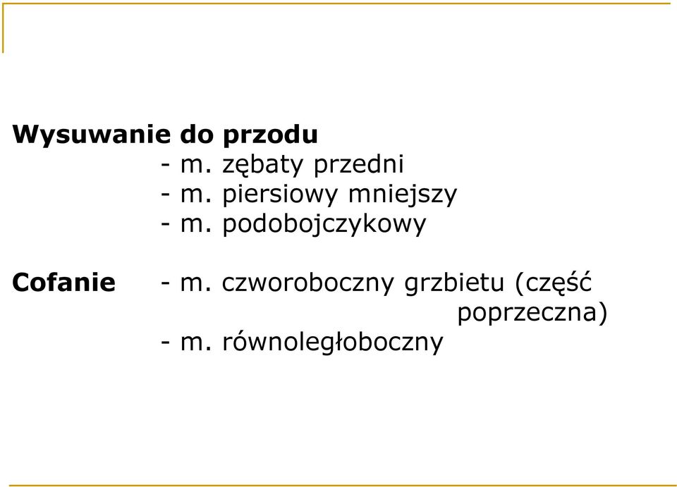 piersiowy mniejszy - m.