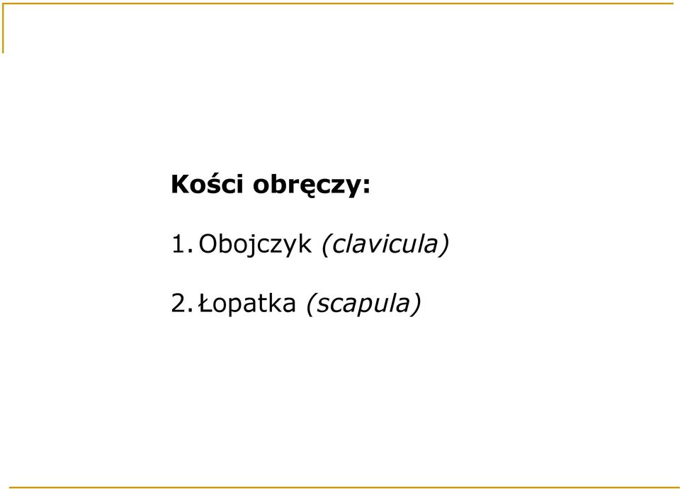 (clavicula) 2.