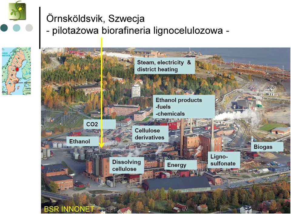 pilotażowa