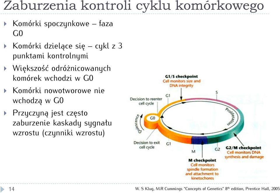 nowotworowe nie wchodzą w G0 rzyczyną jest często zaburzenie kaskady sygnału wzrostu