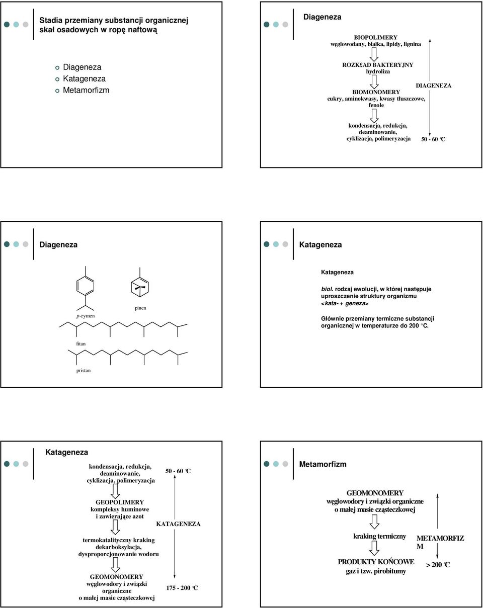 rodzaj ewolucji, w której następuje uproszczenie struktury organizmu <kata- geneza> Głównie przemiany termiczne substancji organicznej w temperaturze do 200 C.