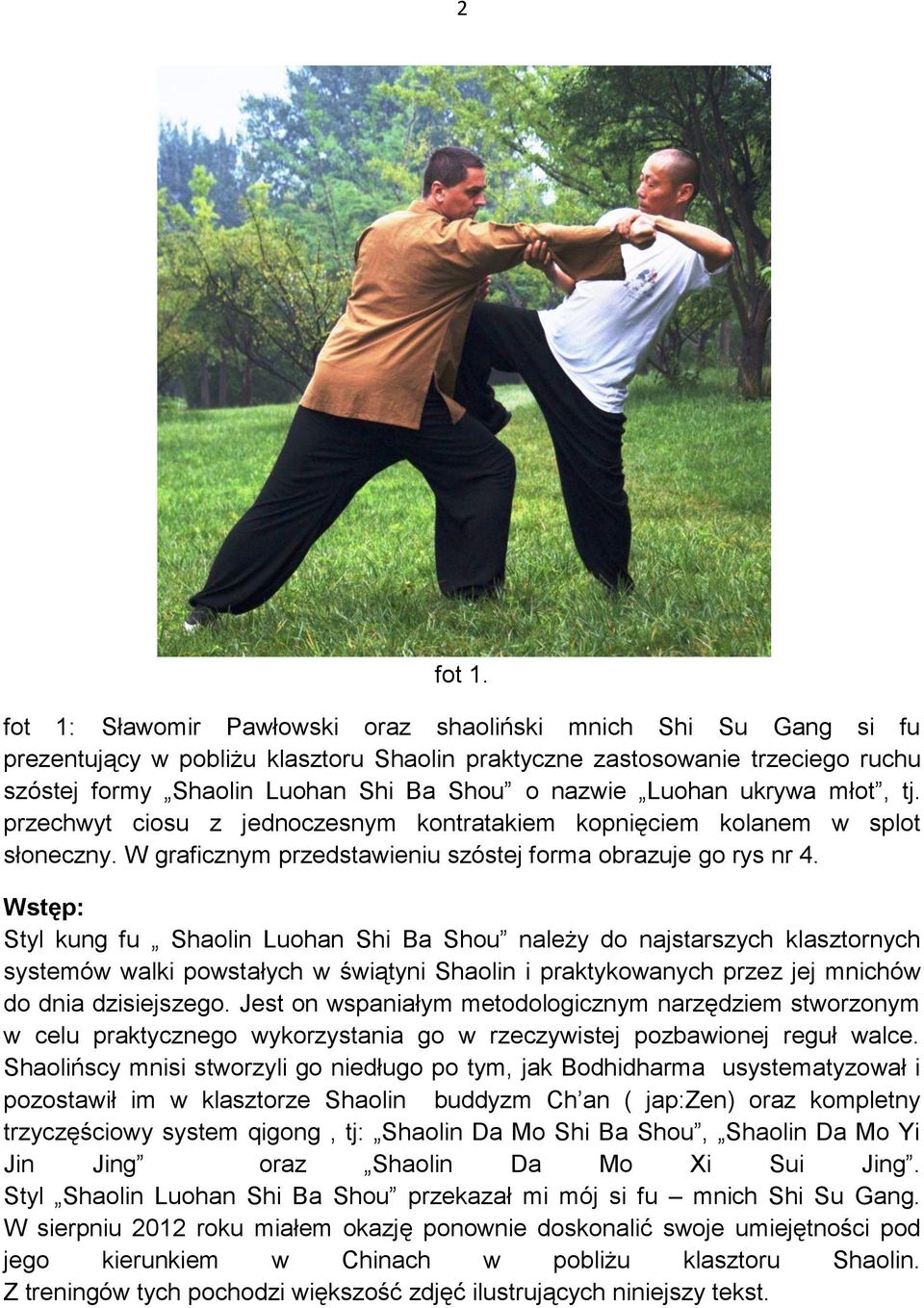 Luohan ukrywa młot, tj. przechwyt ciosu z jednoczesnym kontratakiem kopnięciem kolanem w splot słoneczny. W graficznym przedstawieniu szóstej forma obrazuje go rys nr 4.