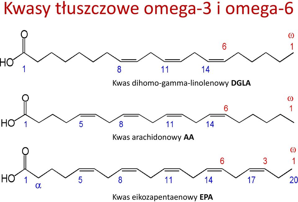 dihomo-gamma-linolenowy DGLA