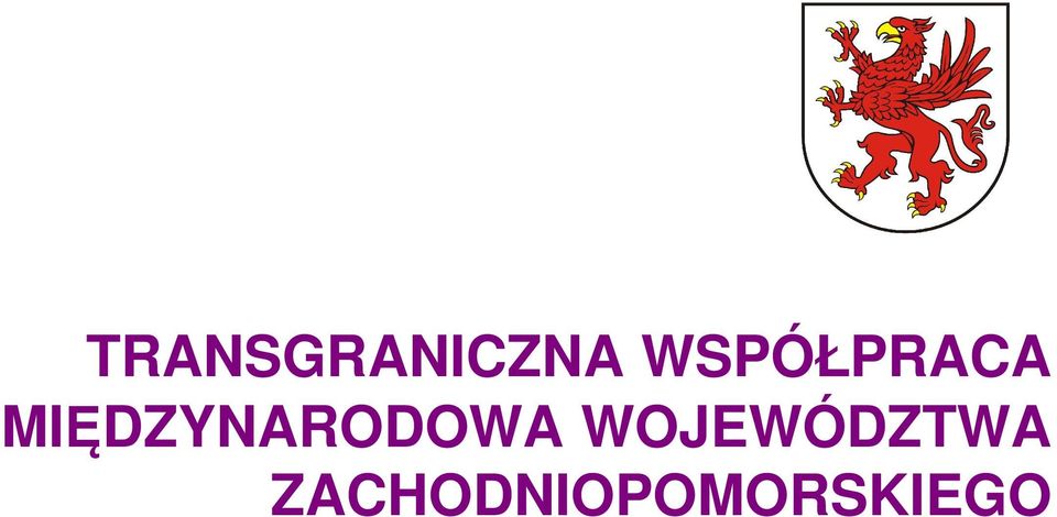 MIĘDZYNARODOWA