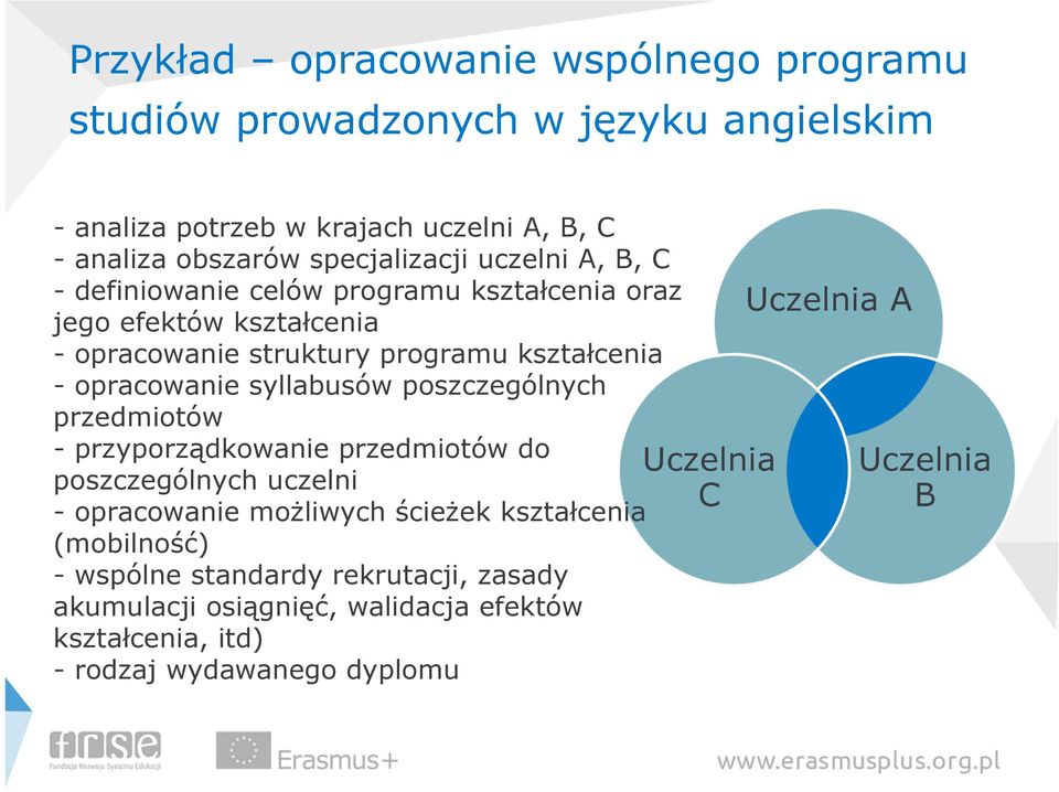 opracowanie syllabusów poszczególnych przedmiotów -przyporządkowanie przedmiotów do poszczególnych uczelni - opracowanie możliwych ścieżek kształcenia