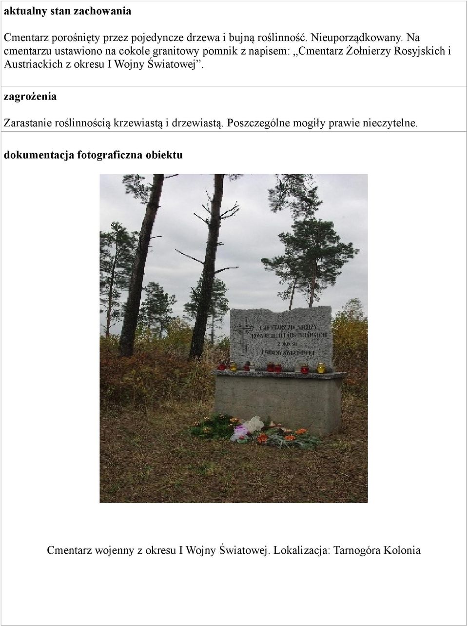 Na cmentarzu ustawiono na cokole granitowy pomnik z napisem: Cmentarz Żołnierzy Rosyjskich i