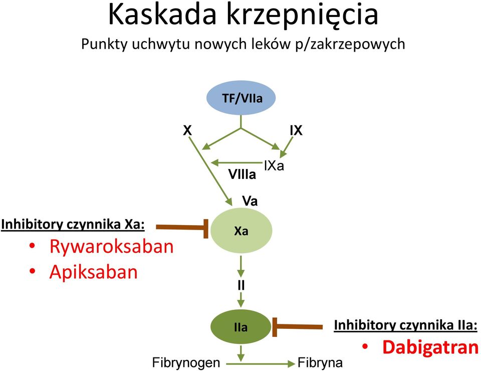 czynnika Xa: Rywaroksaban Apiksaban Xa II Va