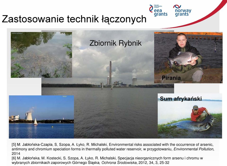 polluted water reservoir, w przygotowaniu, Environmental Pollution, 2014 [6] M. Jabłońska, M. Kostecki, S. Szopa, A. Łyko, R.