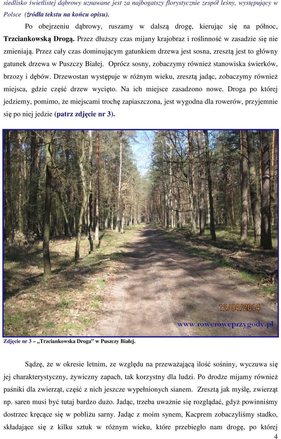 Przez cały czas dominującym gatunkiem drzewa jest sosna, zresztą jest to główny gatunek drzewa w Puszczy Białej. Oprócz sosny, zobaczymy również stanowiska świerków, brzozy i dębów.