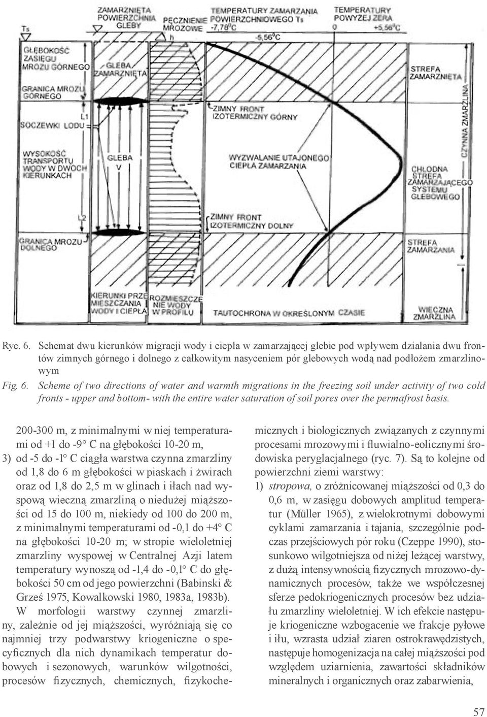 6. Scheme of two directions of water and warmth migrations in the freezing soil under activity of two cold fronts - upper and bottom- with the entire water saturation of soil pores over the