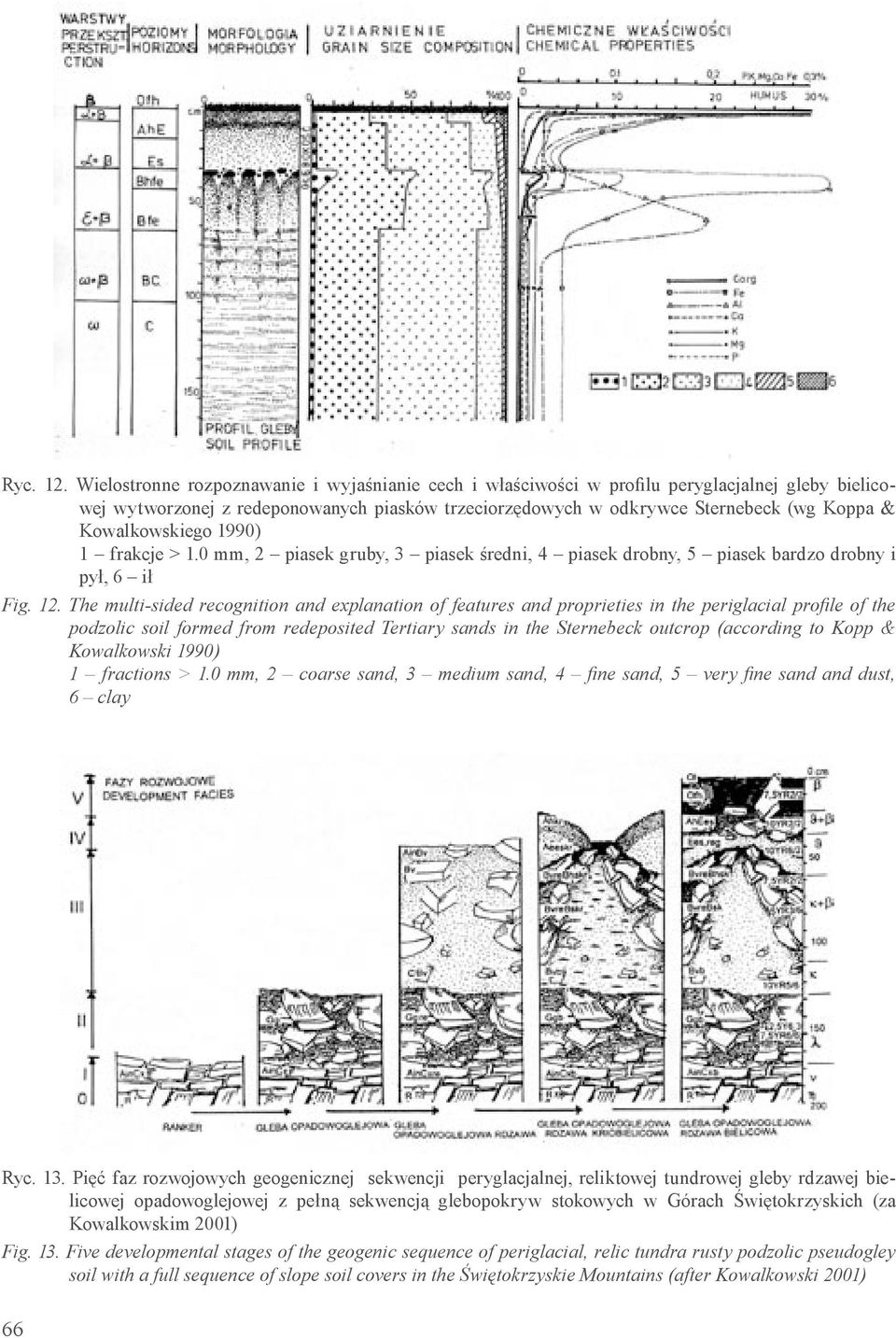 Kowalkowskiego 1990) 1 frakcje > 1.0 mm, 2 piasek gruby, 3 piasek średni, 4 piasek drobny, 5 piasek bardzo drobny i pył, 6 ił Fig. 12.