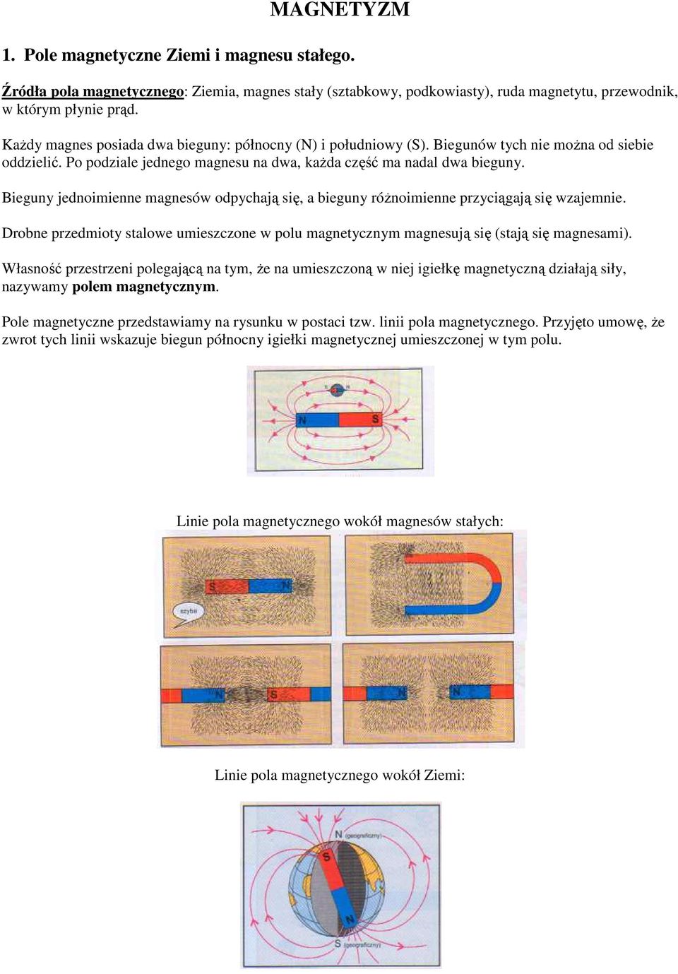 MAGNETYZM. 1. Pole magnetyczne Ziemi i magnesu stałego. - PDF Darmowe  pobieranie