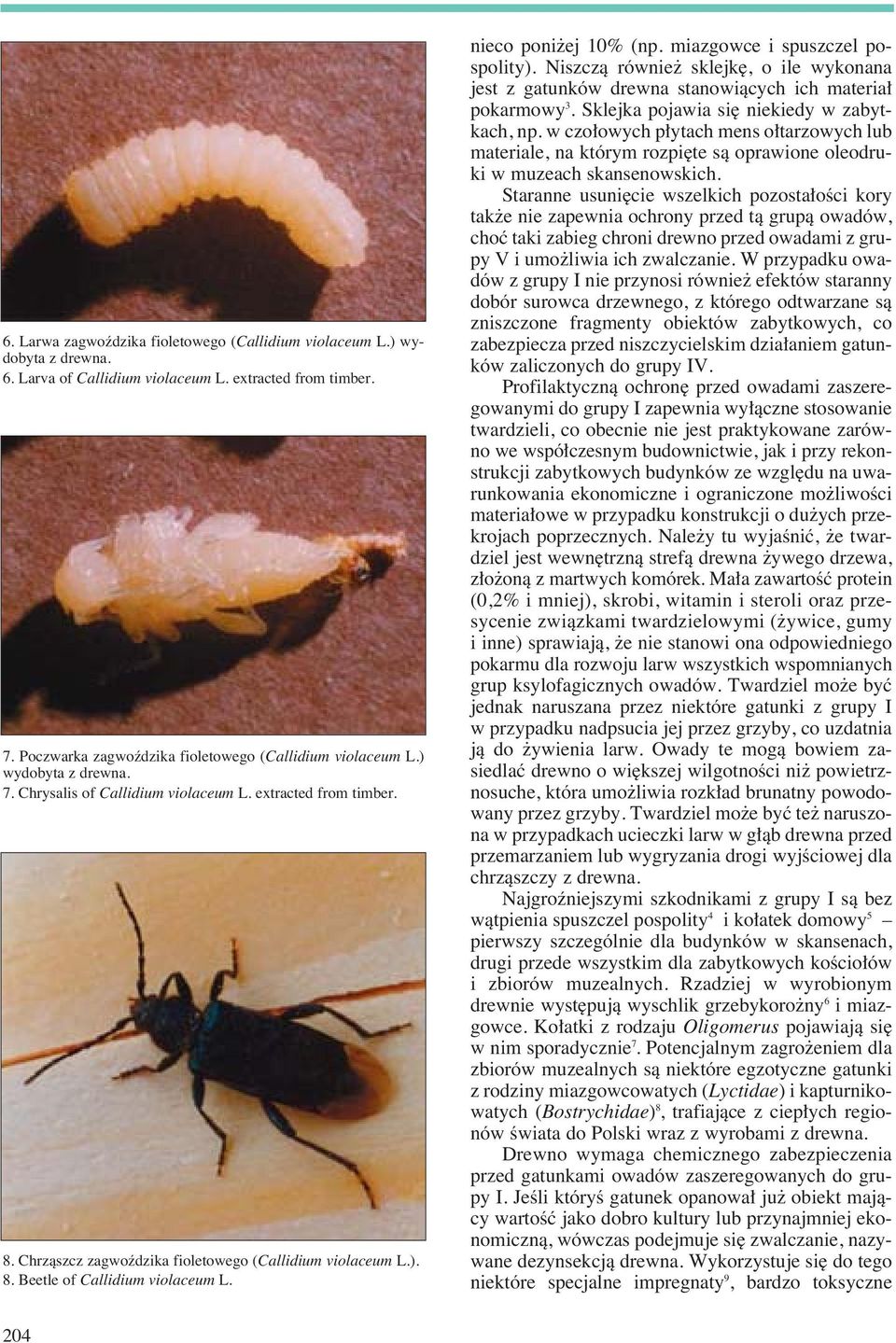 nieco poni ej 10% (np. miazgowce i spuszczel pospolity). Niszczà równie sklejk, o ile wykonana jest z gatunków drewna stanowiàcych ich materia pokarmowy 3. Sklejka pojawia si niekiedy w zabytkach, np.