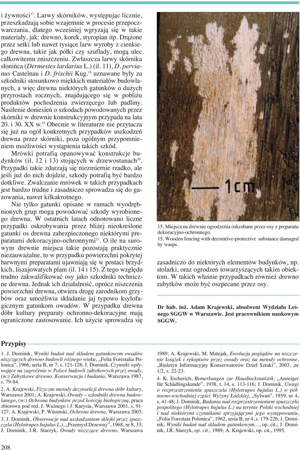 11), D. pervianus Castelnau i D. frischii Kug.